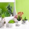 22PCS Colorful Artificial Succulent Plants for Small Potted Plants, Mini Fake Succulents for DIY Crafts, Home Garden, Office, Party & Table Decorations (No Pots)